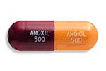 Amoxicillin